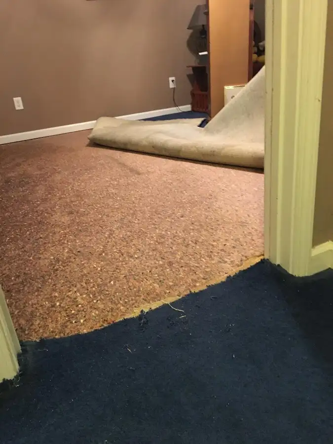 Carpet pad removal revealing water damage during Drying & Dehumidification in Selinsgrove