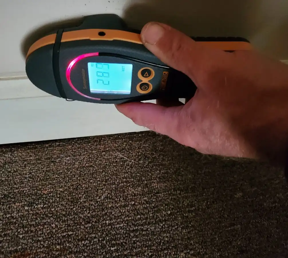 Moisture detection at baseboard during Sewage Cleanup & Sanitation in Selinsgrove